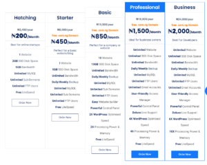 Naijawebhost web hosting pricing