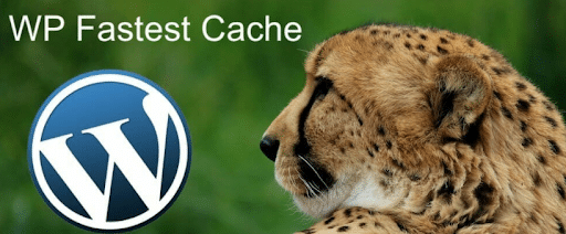Top Five WordPress Cache Plugins | Best of 2022